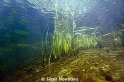 Hidden beauty of Polish lakes. by Gosia Nowodyla 